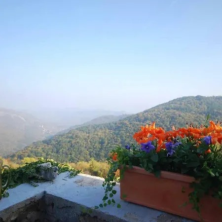 Casa Della Vigna *
